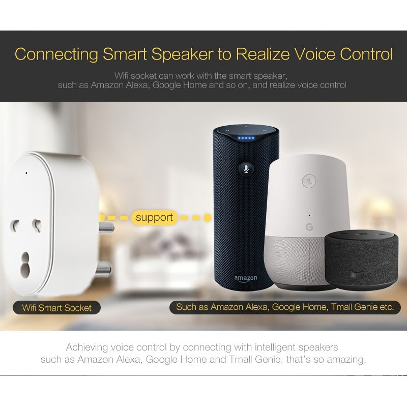 Rayswitch 2.4GHz WiFi Smart Plug, Compatible with Alexa, Google Assistant